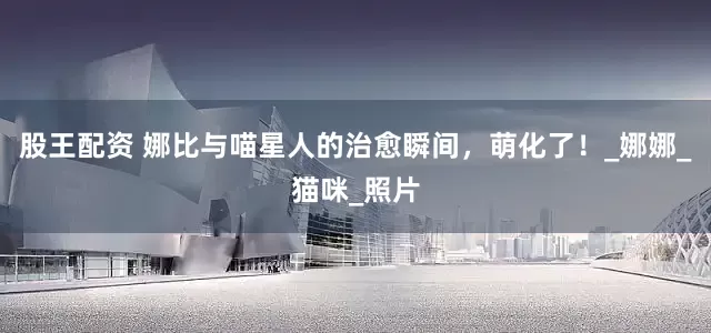 股王配资 娜比与喵星人的治愈瞬间，萌化了！_娜娜_猫咪_照片